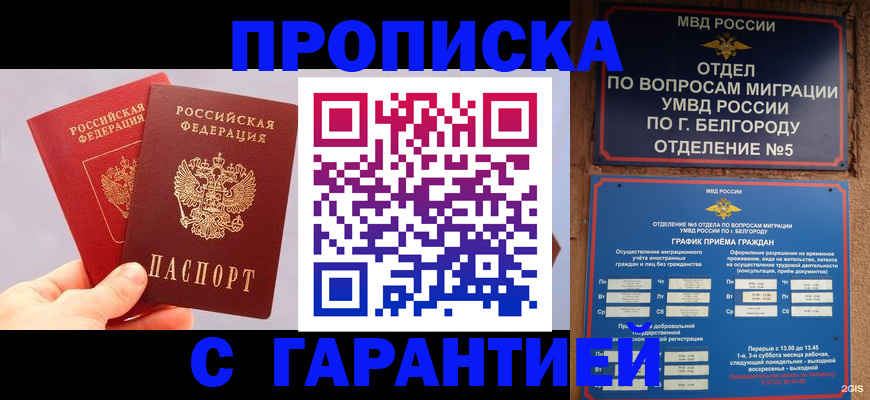 прописка 2025 в Лисках